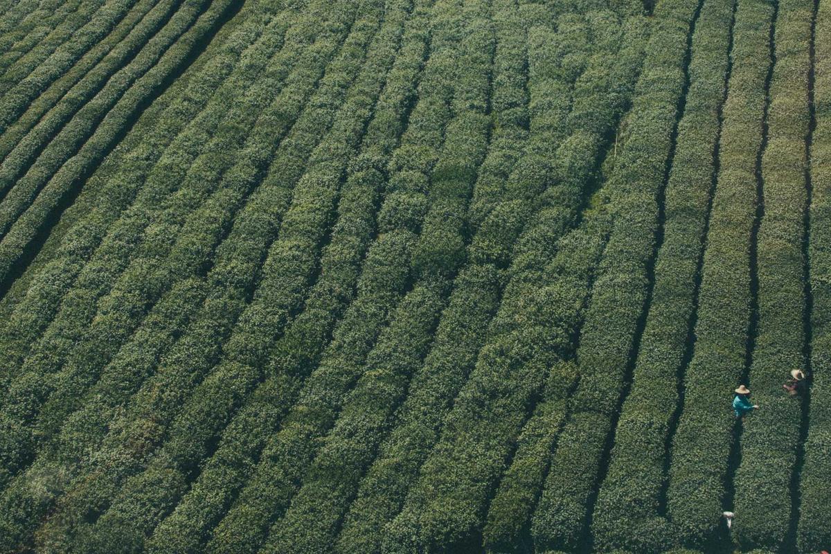 Kronologi Menteri Pariwisata Widiyanti Putri Disemprot Ketua Komisi VII DPR RI saat Rapat, Bingung Dicecar Soal Anggaran