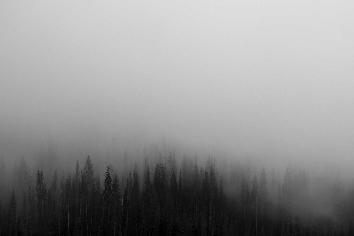 Melestarikan terumbu karang di wilayah Hon Yen, yang terkait dengan pengembangan pariwisata berbasis komunitas.