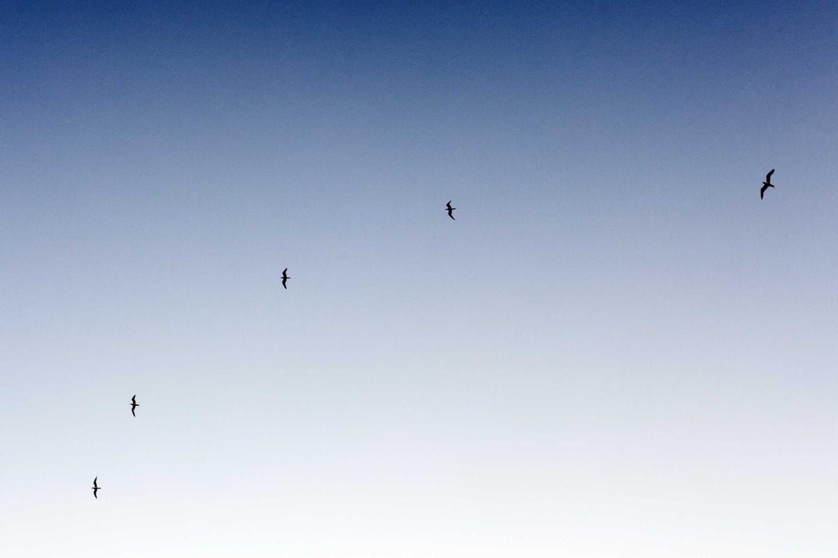 Perkuat Tata Kelola Pariwisata Bali, Menteri Imigrasi Gelar Pertemuan