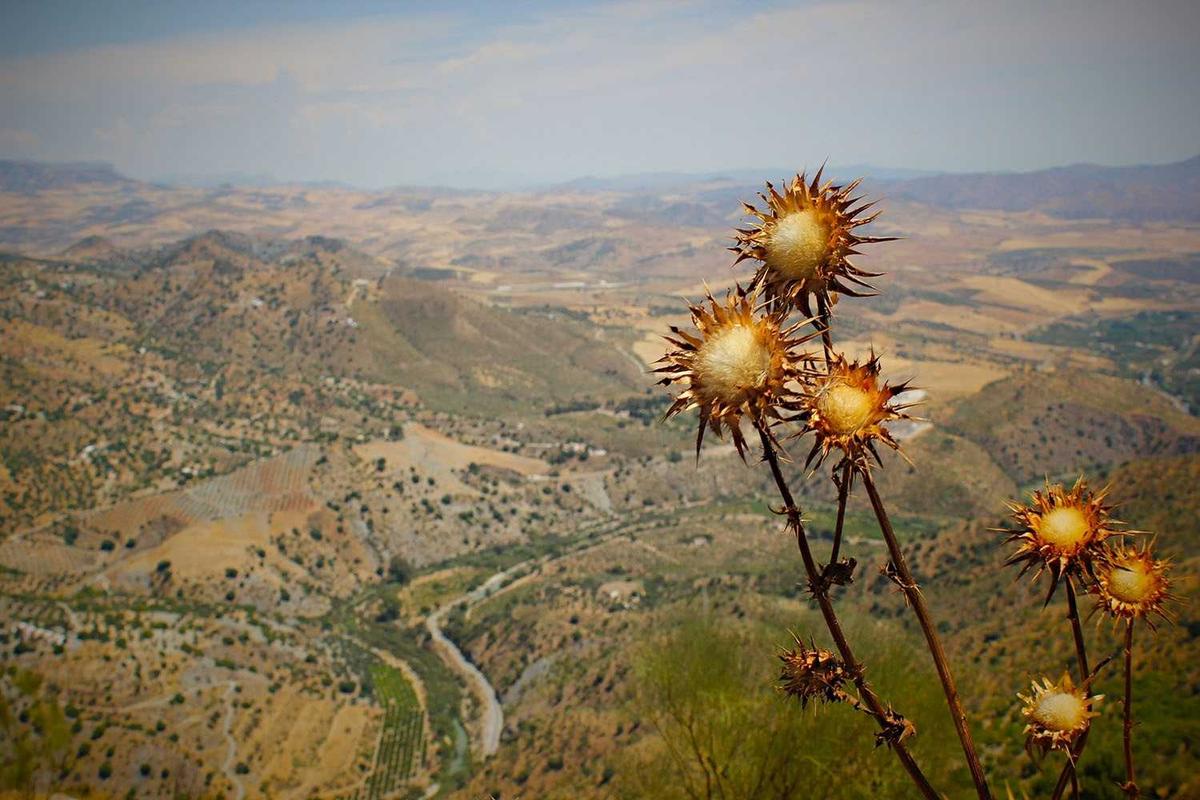 Atria Hotel Magelang Dorong Wisatawan Menginap Lebih Lama, Perkuat Sektor Pariwisata Daerah – disway.id