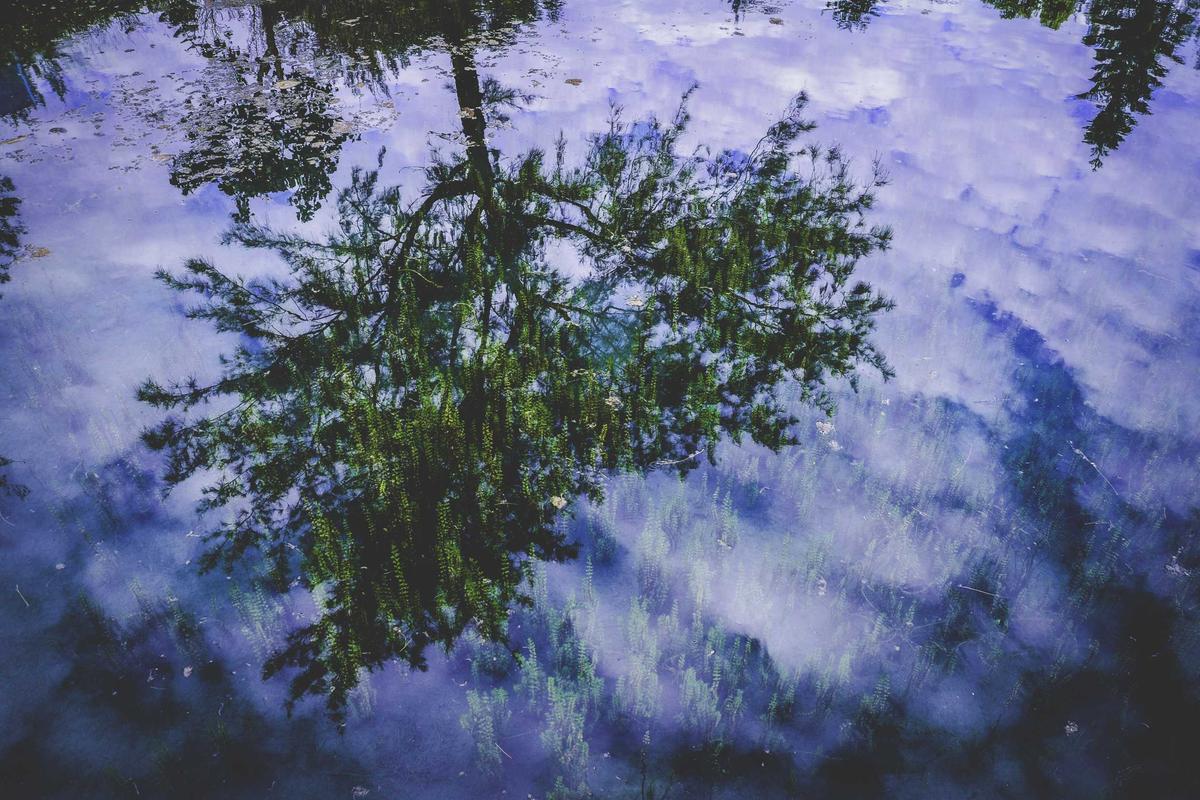 Labuan Bajo Fokus Perkuat Keamanan Wisata Bahari, Momentum dari Kasus Kapal Tenggelam