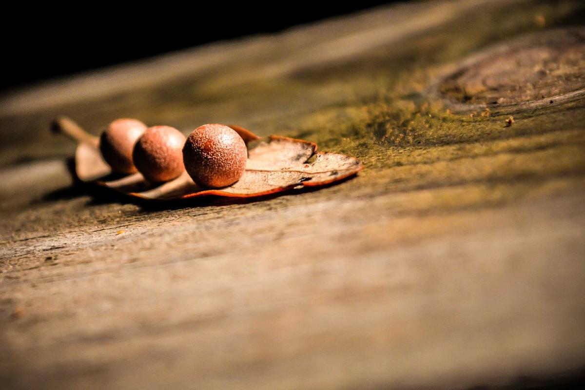 Pariwisata Dompu Belum Pulih, Lakey dan Tambora Masih Lesu