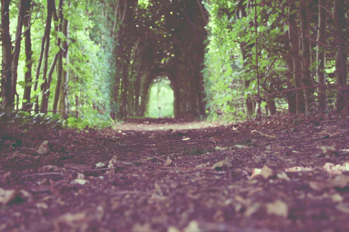 Iman Lestariyono Dorong Penguatan Pariwisata Berbasis Harmoni Alam dan Budaya