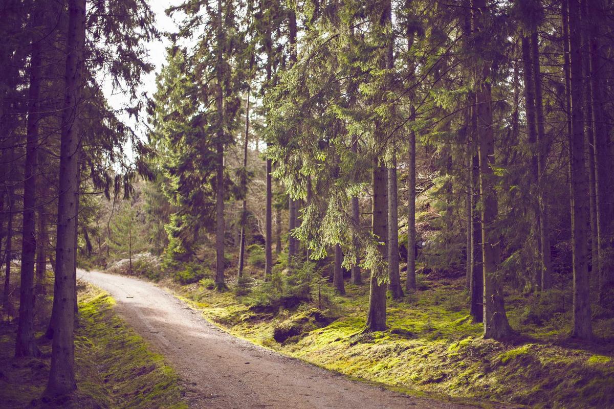 Melengkapi rencana pariwisata Cagar Alam dan Budaya Dong Nai: Memanfaatkan potensi hutan, badan air, situs bersejarah, dan budaya secara berkelanjutan.